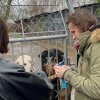Trwa akcja na rzecz Schroniska dla Bezdomnych Zwierząt z Orzechowiec