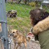 Trwa akcja na rzecz Schroniska dla Bezdomnych Zwierząt z Orzechowiec