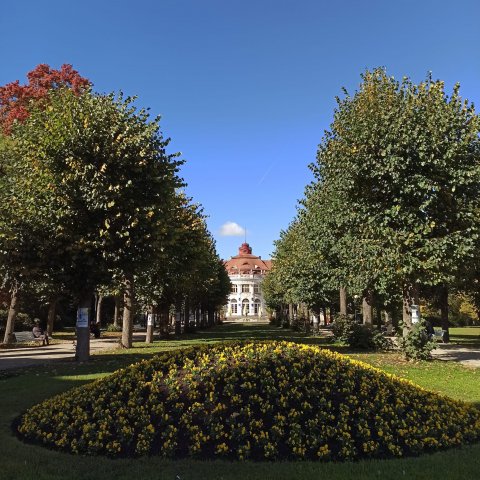 Studia w Czechach z Erasmusem+