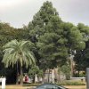 Antonina Derekh studentka zarządzania z PWSTE w Jarosławiu rozpoczęła semestr letni 2017/2018 na Universidad Politécnica de Cartagena w ramach programu Erasmus+