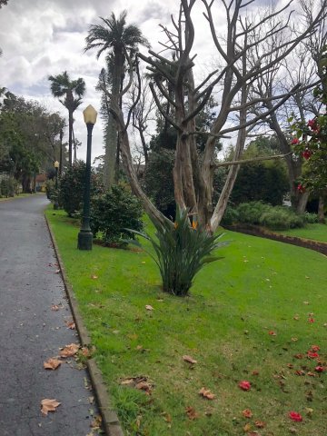 Prezentujemy fotorelację Bohdana Povarennykha, studenta II roku zarządzania PWSTE z Jarosławia, który przebywa na studiach w ramach programu Erasmus+ na University of Azores w Portugalii przez cały rok akademicki 2020/2021 ! ! !