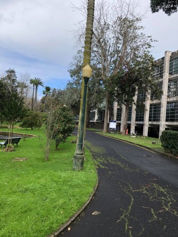 Prezentujemy fotorelację Bohdana Povarennykha, studenta II roku zarządzania PWSTE z Jarosławia, który przebywa na studiach w ramach programu Erasmus+ na University of Azores w Portugalii przez cały rok akademicki 2020/2021 ! ! !