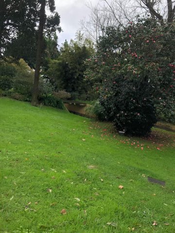 Prezentujemy fotorelację Bohdana Povarennykha, studenta II roku zarządzania PWSTE z Jarosławia, który przebywa na studiach w ramach programu Erasmus+ na University of Azores w Portugalii przez cały rok akademicki 2020/2021 ! ! !