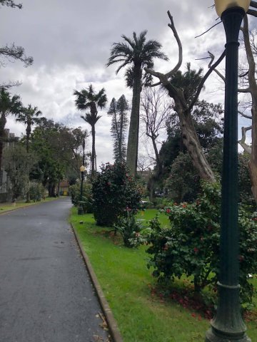 Prezentujemy fotorelację Bohdana Povarennykha, studenta II roku zarządzania PWSTE z Jarosławia, który przebywa na studiach w ramach programu Erasmus+ na University of Azores w Portugalii przez cały rok akademicki 2020/2021 ! ! !