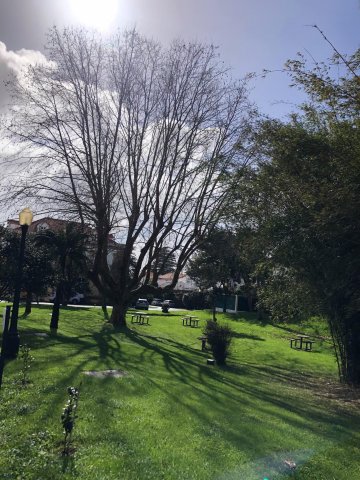 Prezentujemy fotorelację Bohdana Povarennykha, studenta II roku zarządzania PWSTE z Jarosławia, który przebywa na studiach w ramach programu Erasmus+ na University of Azores w Portugalii przez cały rok akademicki 2020/2021 ! ! !