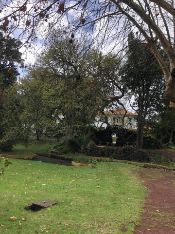Prezentujemy fotorelację Bohdana Povarennykha, studenta II roku zarządzania PWSTE z Jarosławia, który przebywa na studiach w ramach programu Erasmus+ na University of Azores w Portugalii przez cały rok akademicki 2020/2021 ! ! !