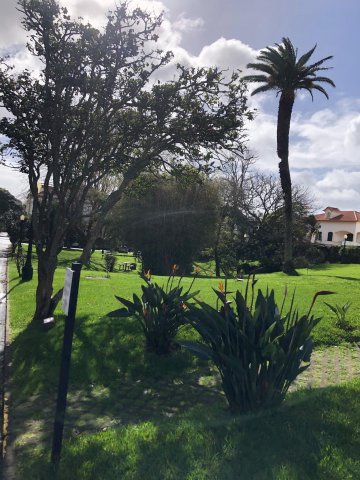 Prezentujemy fotorelację Bohdana Povarennykha, studenta II roku zarządzania PWSTE z Jarosławia, który przebywa na studiach w ramach programu Erasmus+ na University of Azores w Portugalii przez cały rok akademicki 2020/2021 ! ! !