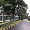 Prezentujemy fotorelację Bohdana Povarennykha, studenta II roku zarządzania PWSTE z Jarosławia, który przebywa na studiach w ramach programu Erasmus+ na University of Azores w Portugalii przez cały rok akademicki 2020/2021 ! ! !
