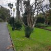Prezentujemy fotorelację Bohdana Povarennykha, studenta II roku zarządzania PWSTE z Jarosławia, który przebywa na studiach w ramach programu Erasmus+ na University of Azores w Portugalii przez cały rok akademicki 2020/2021 ! ! !
