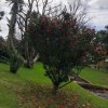 Prezentujemy fotorelację Bohdana Povarennykha, studenta II roku zarządzania PWSTE z Jarosławia, który przebywa na studiach w ramach programu Erasmus+ na University of Azores w Portugalii przez cały rok akademicki 2020/2021 ! ! !