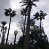 Prezentujemy fotorelację Bohdana Povarennykha, studenta II roku zarządzania PWSTE z Jarosławia, który przebywa na studiach w ramach programu Erasmus+ na University of Azores w Portugalii przez cały rok akademicki 2020/2021 ! ! !