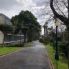 Prezentujemy fotorelację Bohdana Povarennykha, studenta II roku zarządzania PWSTE z Jarosławia, który przebywa na studiach w ramach programu Erasmus+ na University of Azores w Portugalii przez cały rok akademicki 2020/2021 ! ! !