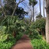 Prezentujemy fotorelację Bohdana Povarennykha, studenta II roku zarządzania PWSTE z Jarosławia, który przebywa na studiach w ramach programu Erasmus+ na University of Azores w Portugalii przez cały rok akademicki 2020/2021 ! ! !