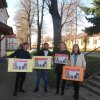 PRZYGOTOWANIE KAMPUSU PWSTE DO AKCJI NA RZECZ SCHRONISKA W ORZECHOWCACH ! ! !