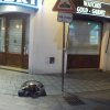 Kshyshtof Kuts na Uniwersytecie Komeńskiego w Bratysławie spędza semestr letni roku akademickiego 2016/2017 w ramach stypendium Erasmus+