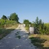 WRAŻENIA Z PRAKTYK ZAGRANICZNYCH W WIEDNIU ! ! !