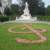 WRAŻENIA Z PRAKTYK ZAGRANICZNYCH W WIEDNIU ! ! !