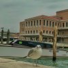 ONUR_SEZGIN-ITALY