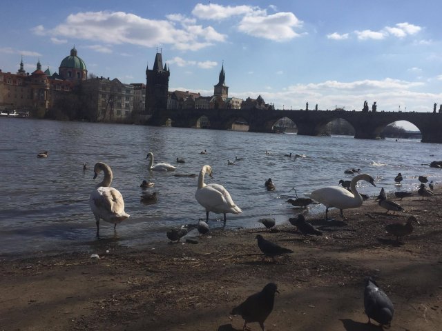 Relacja Oleha Lyndy ze studiów w Metropolitan University Prague w ramach programu Erasmus+