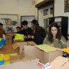 Preparations for a charity campaign for homeless animal shelter