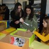 Preparations for a charity campaign for homeless animal shelter