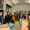 Preparations for a charity campaign for homeless animal shelter