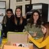 Preparations for a charity campaign for homeless animal shelter