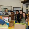 Preparations for a charity campaign for homeless animal shelter