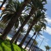 ERASMUS+ w Hiszpanii na Universidad Politécnica de Cartagena!