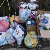 I FINAŁ AKCJI NA RZECZ ZWIERZAKÓW Z ORZECHOWIEC - 19.01.2018 r.