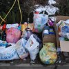 I FINAŁ AKCJI NA RZECZ ZWIERZAKÓW Z ORZECHOWIEC - 19.01.2018 r.